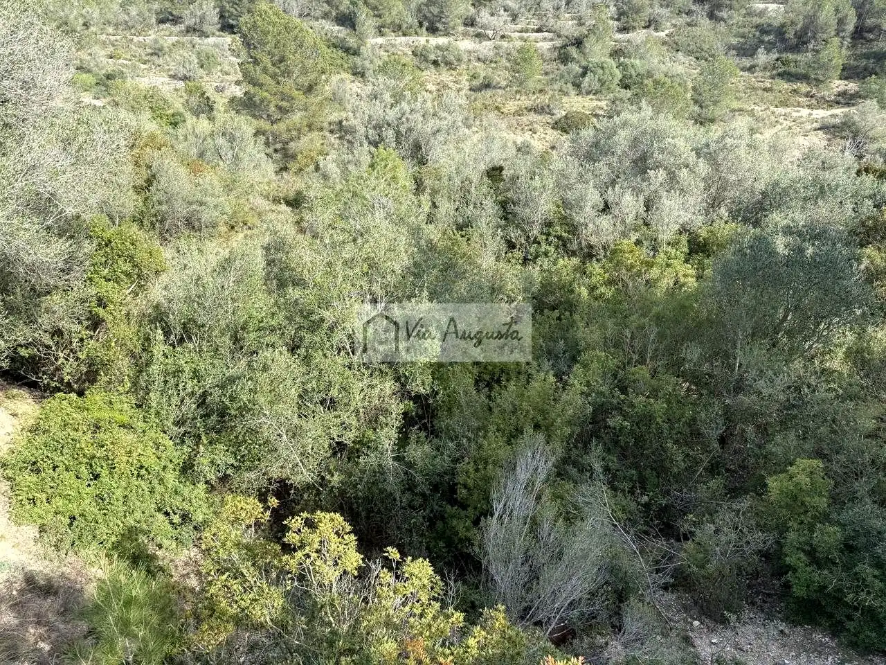 Terreno rustico in vendita a oliveres, imagen 11