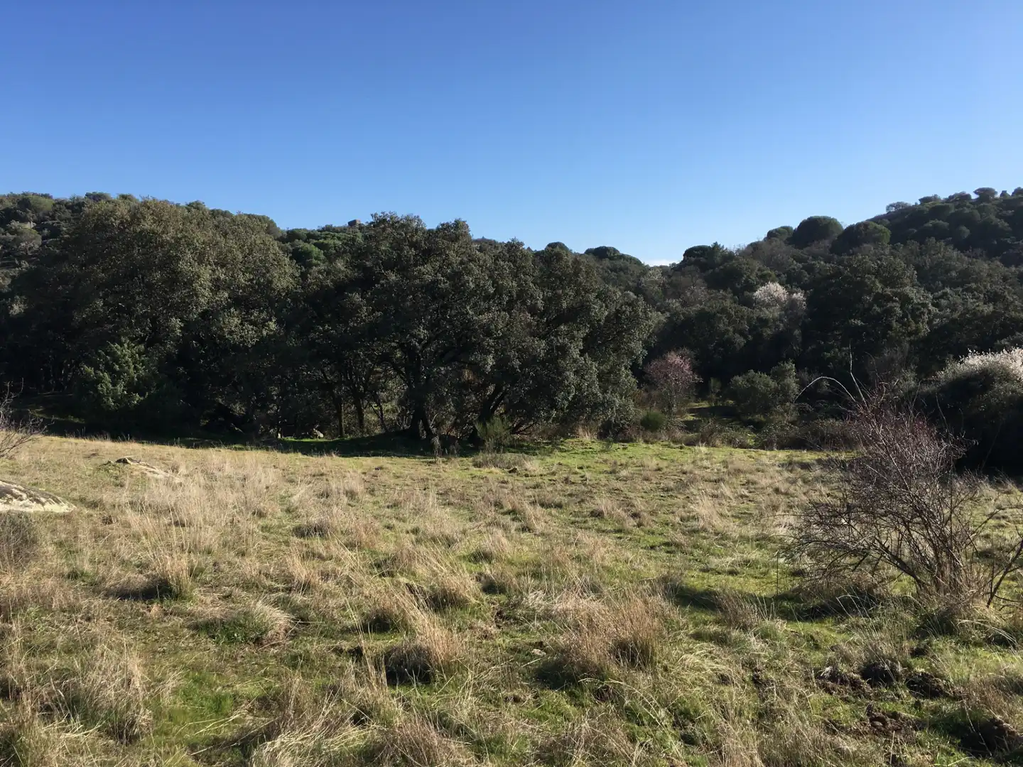 Rural land for sale in Cadalso de los Vidrios, imagen 14