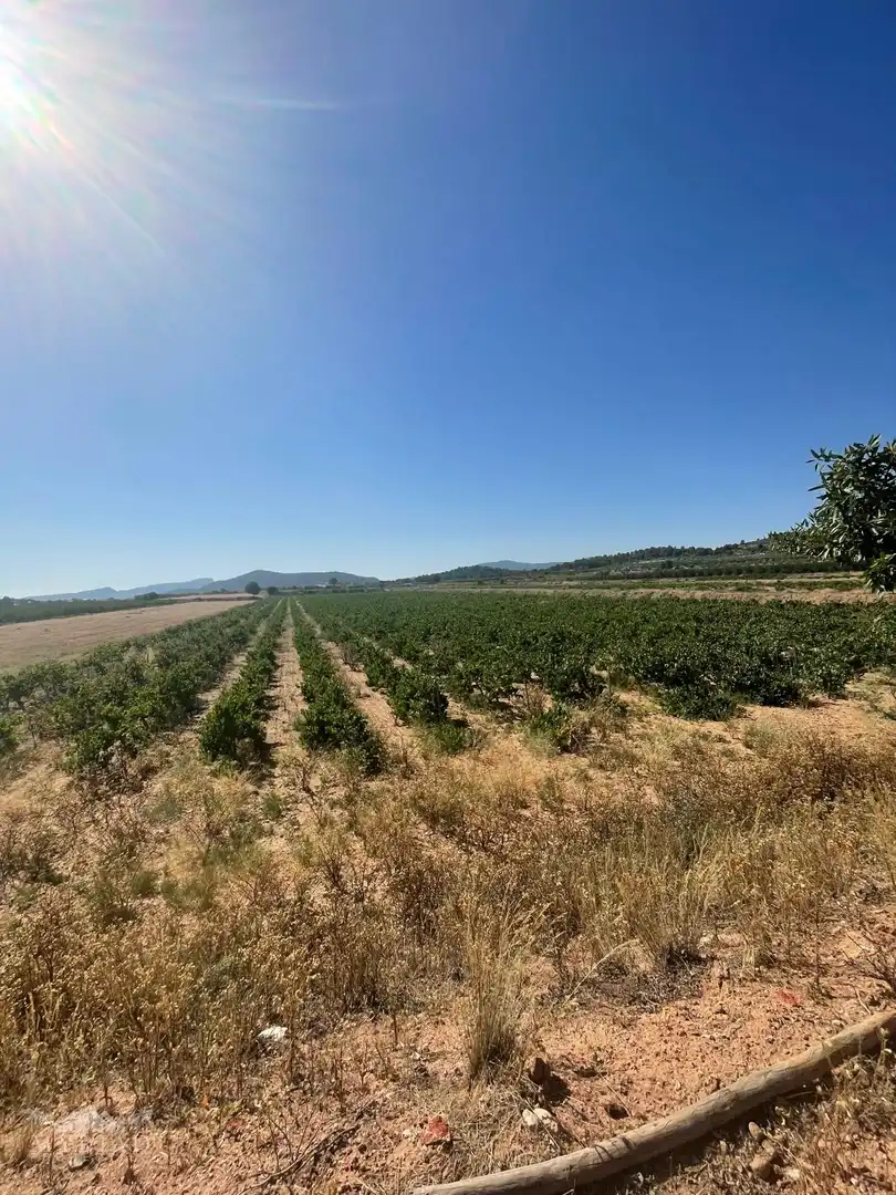 Terreno residencial en venta en El Pinós / Pinoso, imagen 25
