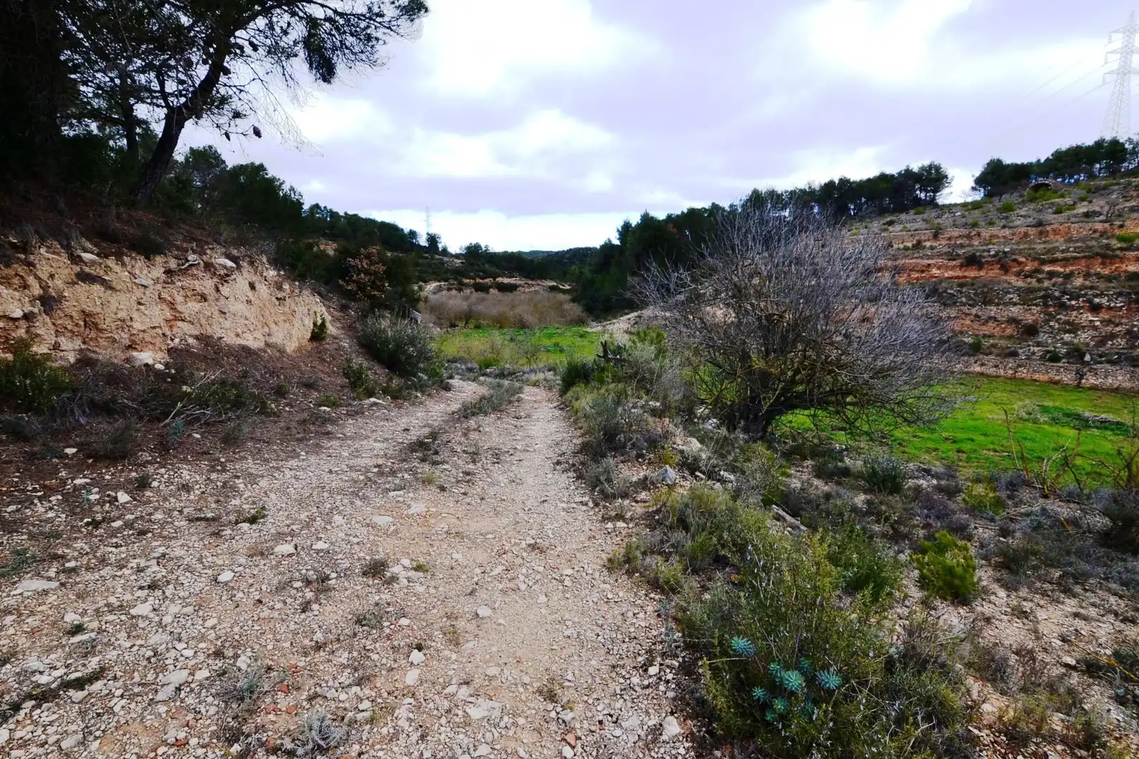Terreno en venta en Vilalba dels Arcs
