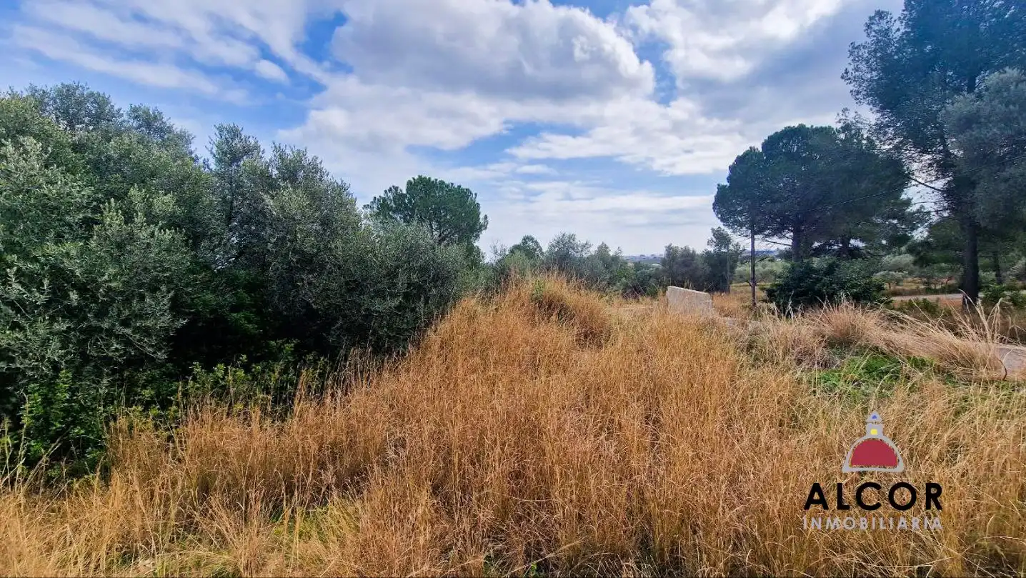 Finca rústica en venda en Benicarló