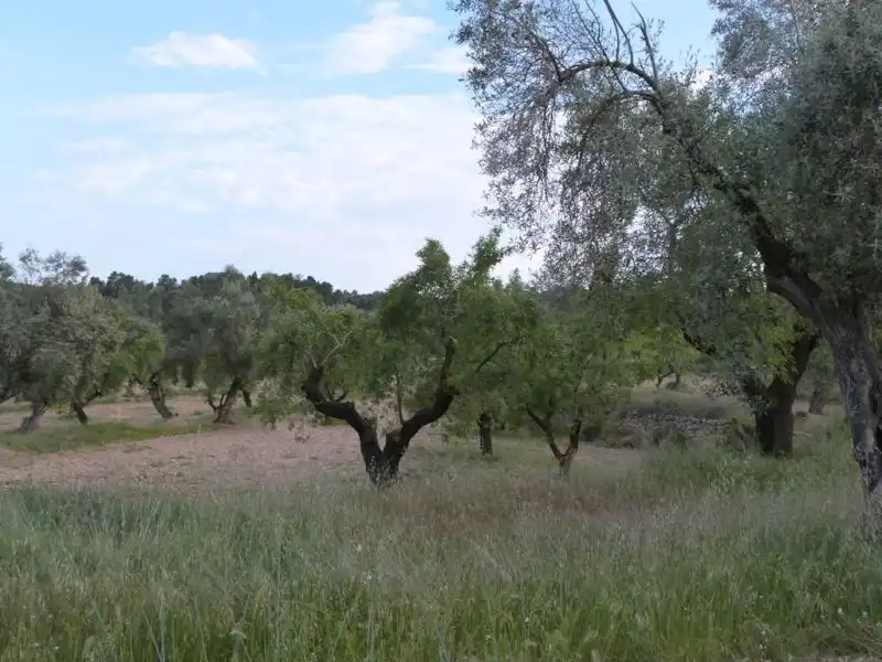 Country homes for sale in Valjunquera