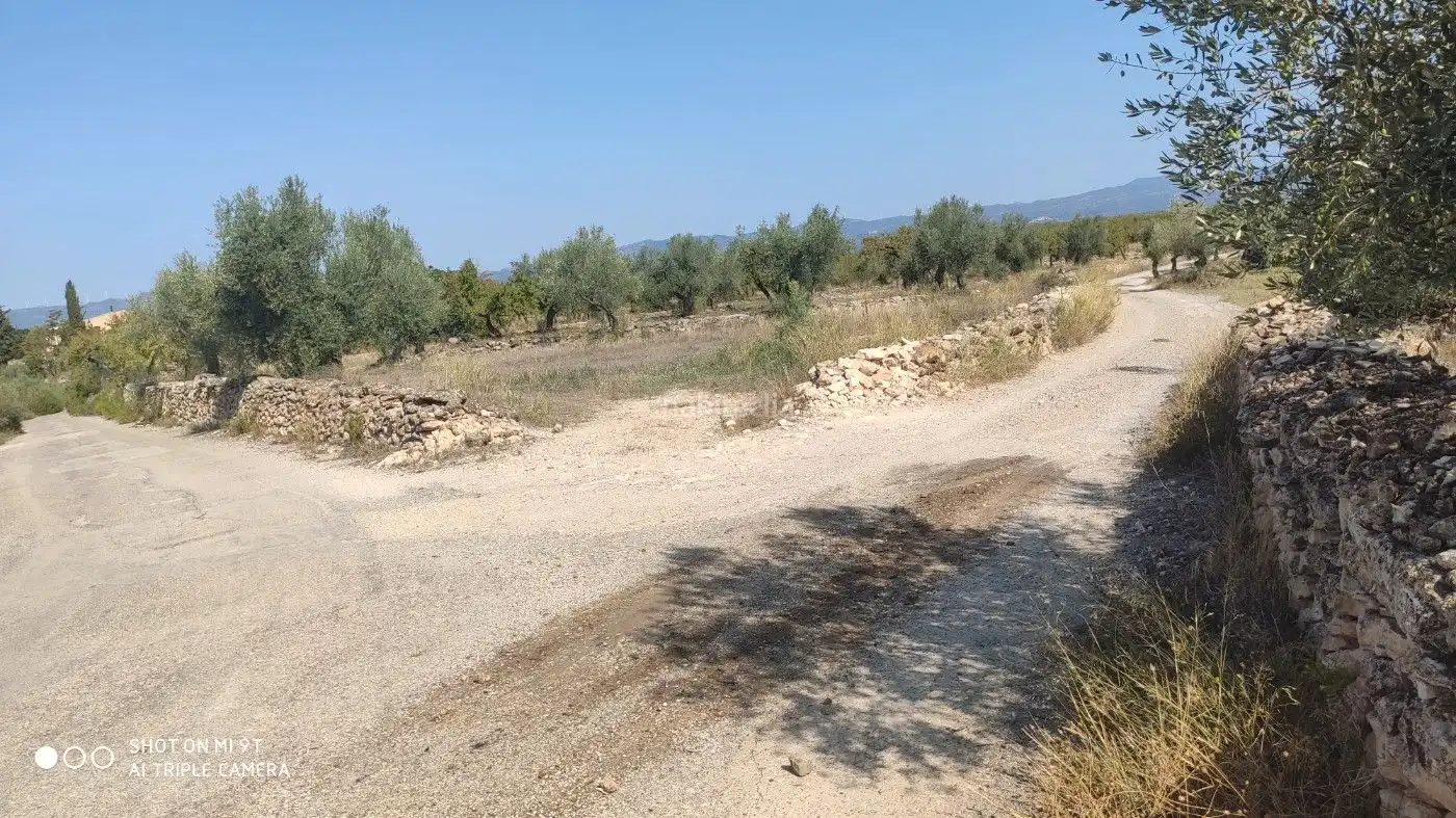 Rural land for sale in Carrer de la Muntanya 1, imagen 5