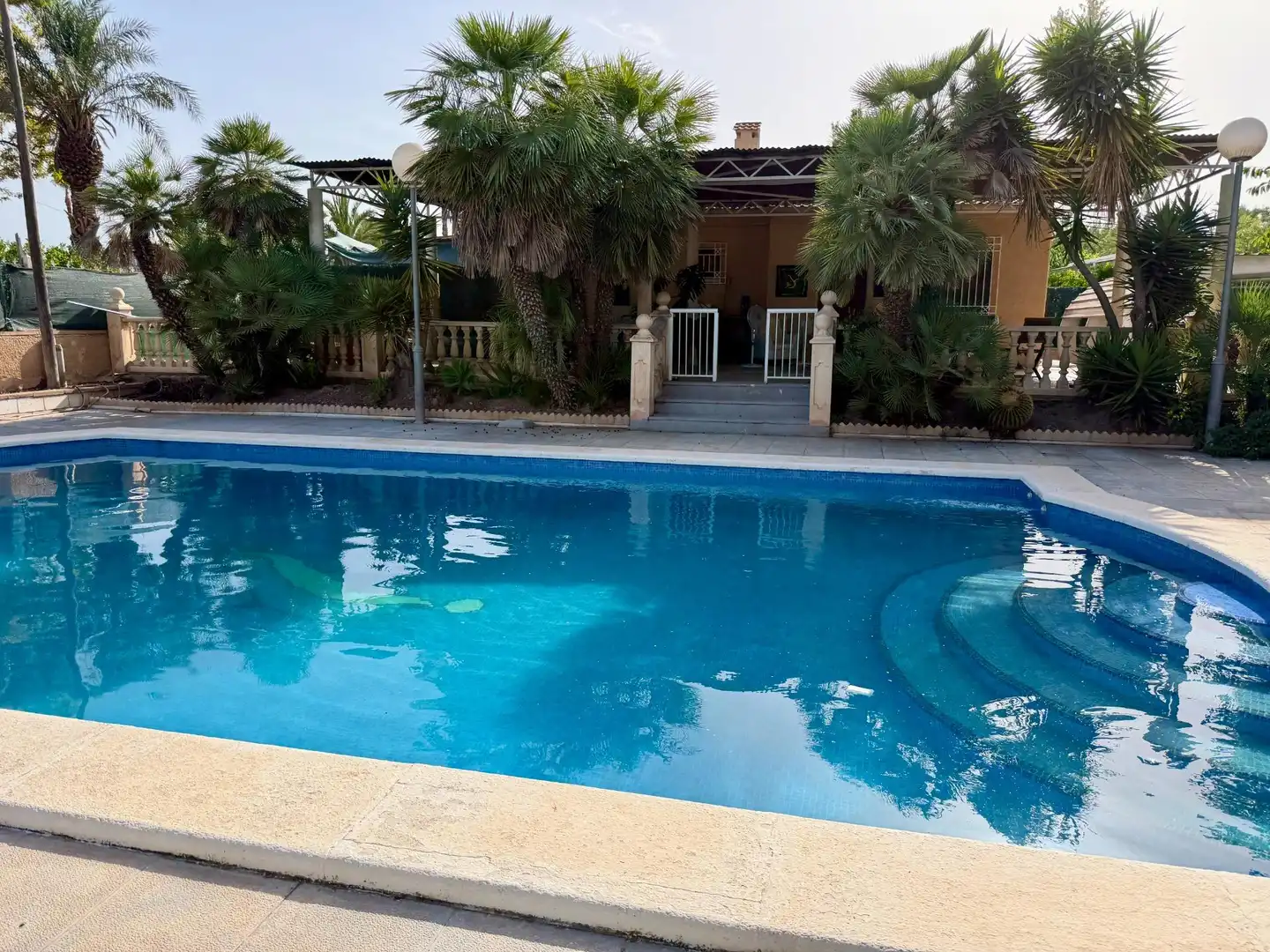 Swimming pool of Houses for rent in Elche / Elx  with Air Conditioner, Heating and Private garden