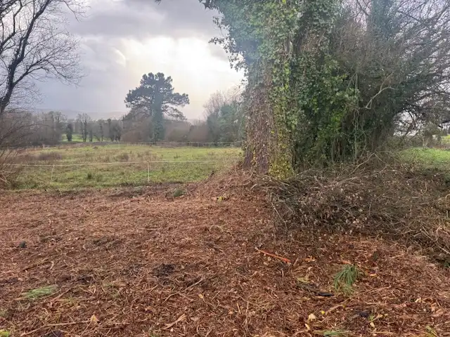Terreno residencial en venta en Castropol, imagen 19
