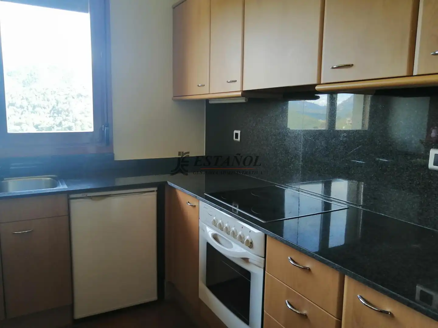 Flat with lift for sale in Montferrer i Castellbò, imagen 12