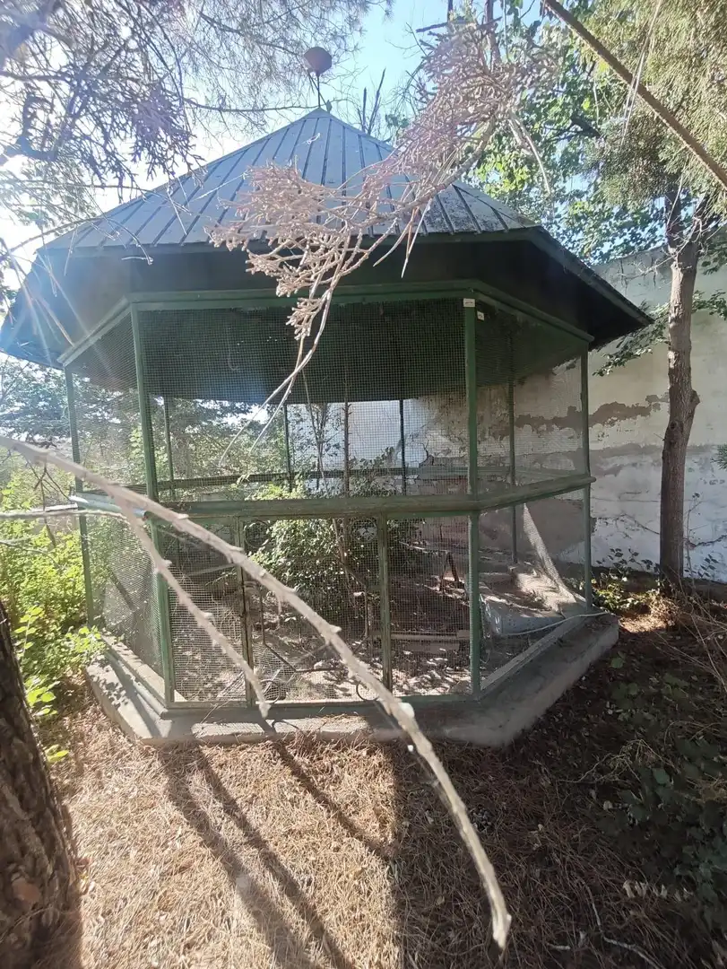 House with pool for sale in Petrer, imagen 16
