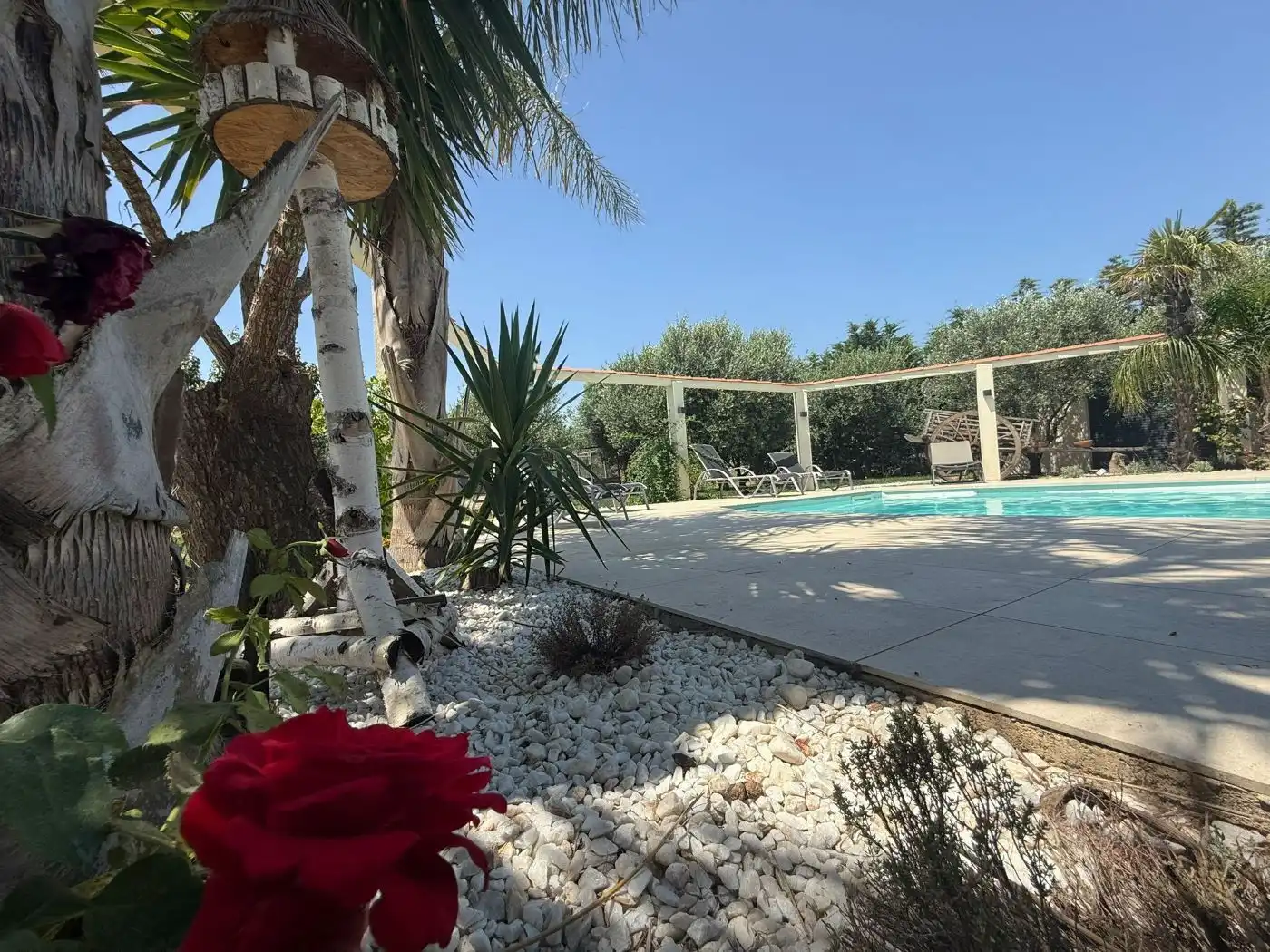 Piscina de Casa o xalet en venda en Castelló d'Empúries amb Aire condicionat, Calefacció i Jardí privat