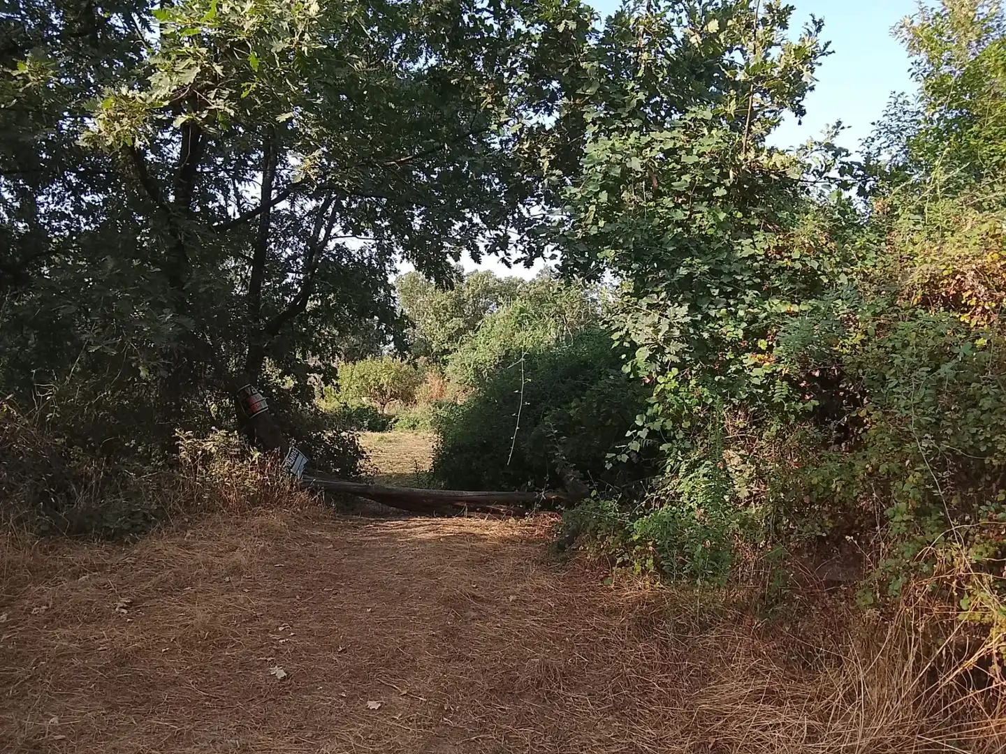 Terreni e lotti in vendita a Villanueva de la Vera, imagen 9