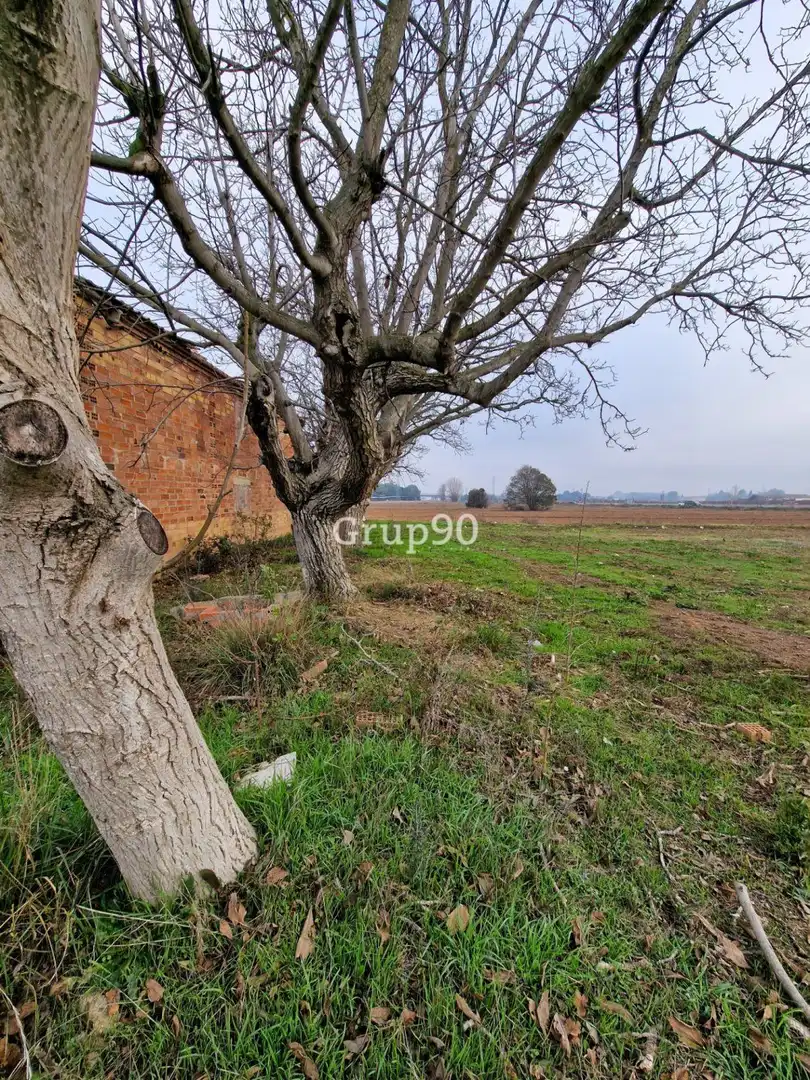Gewerbefläche zum Verkauf in Partides de Lleida, imagen 8