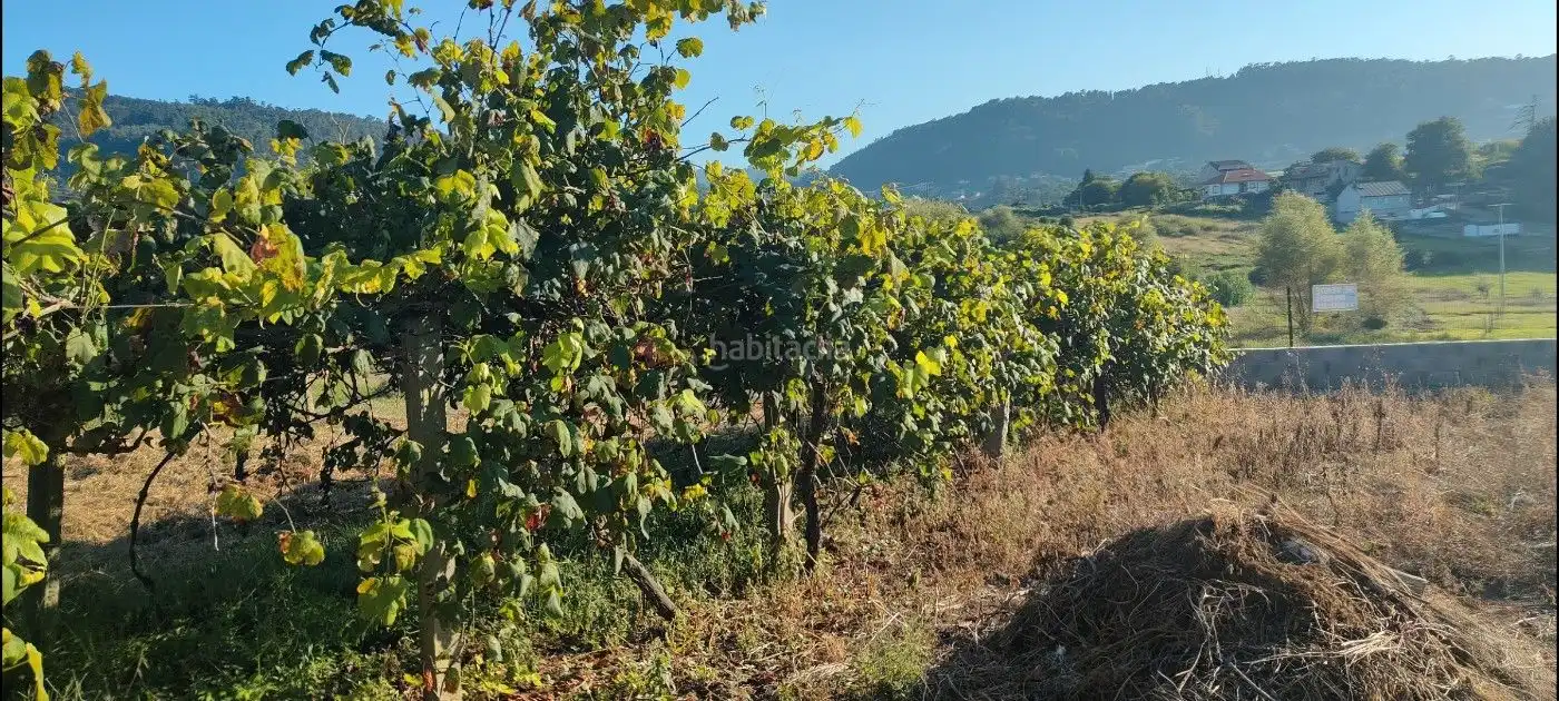 Terreno rustico in vendita a Poblado Carregal 9, imagen 20