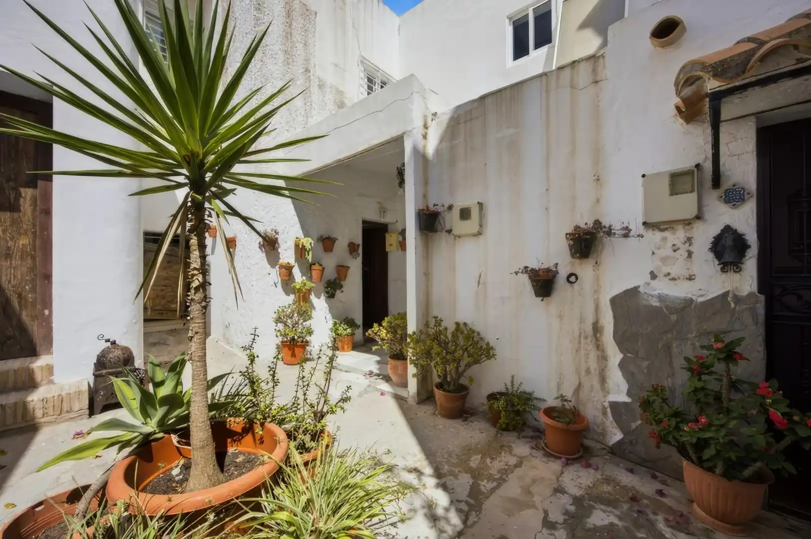 Vista exterior de Apartamento en venta en Vejer de la Frontera con Terraza y Amueblado