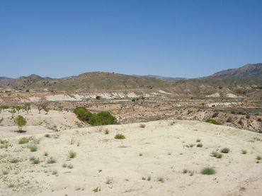 Terreno rustico in vendita a Abanilla