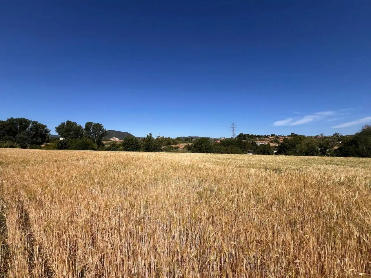 Rural land for sale in Barri Mion - Puigberenguer, imagen 7