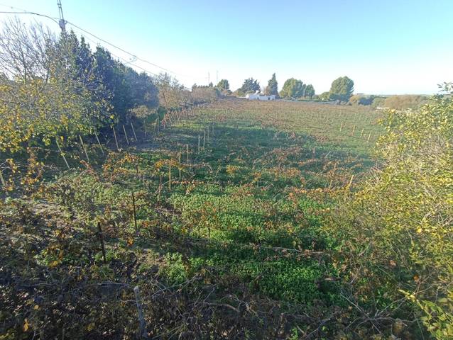 Terreno en Venta en Santiago - Coronación