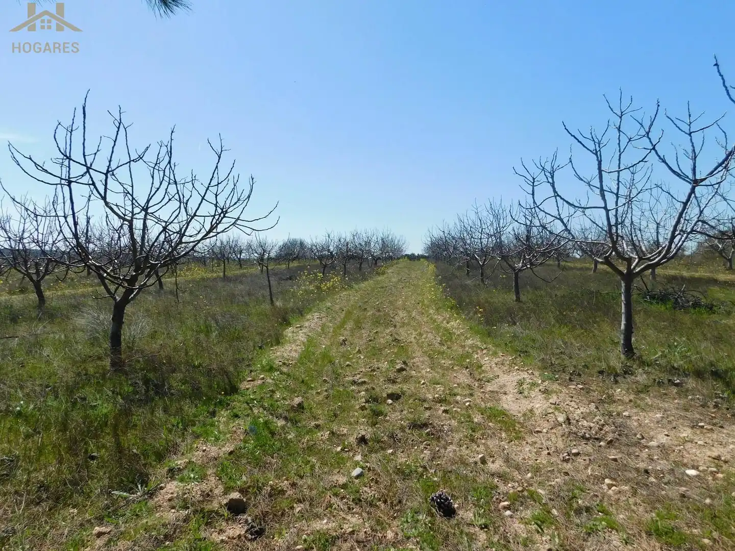 Terreno en venta en Villa del Prado