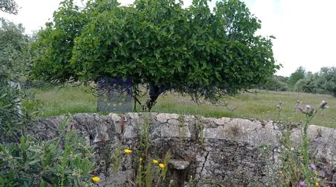 Foto 3 de Finca rústica en venda a N/a, Alcántara, Cáceres