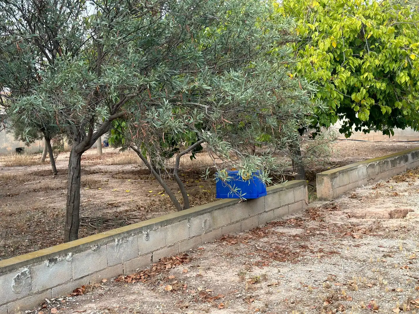 Casa o chalet en venta en Villamontes - Boqueres