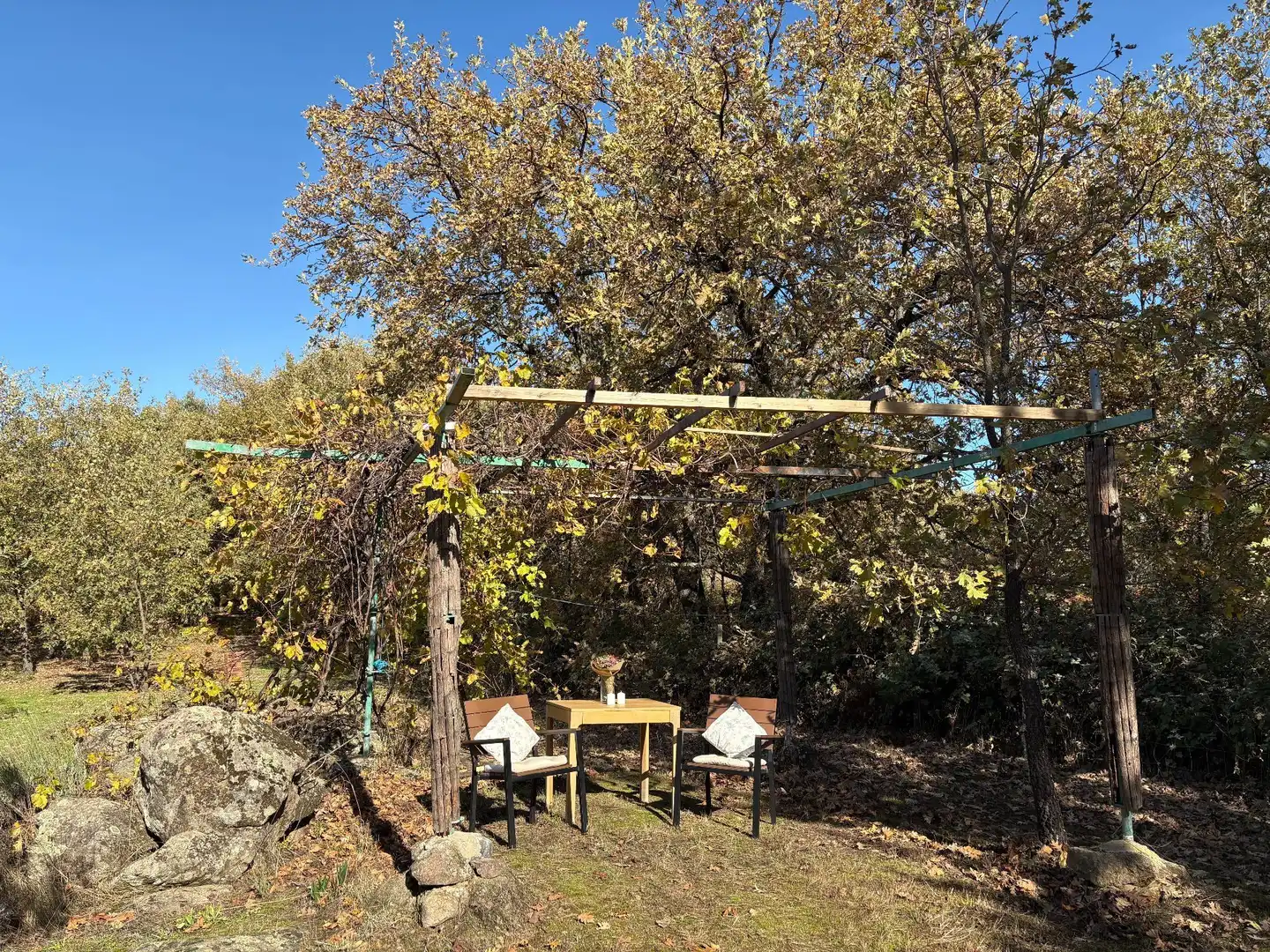 Jardín de Casa o chalet en venta en Villanueva de la Vera con Aire acondicionado y Jardín privado