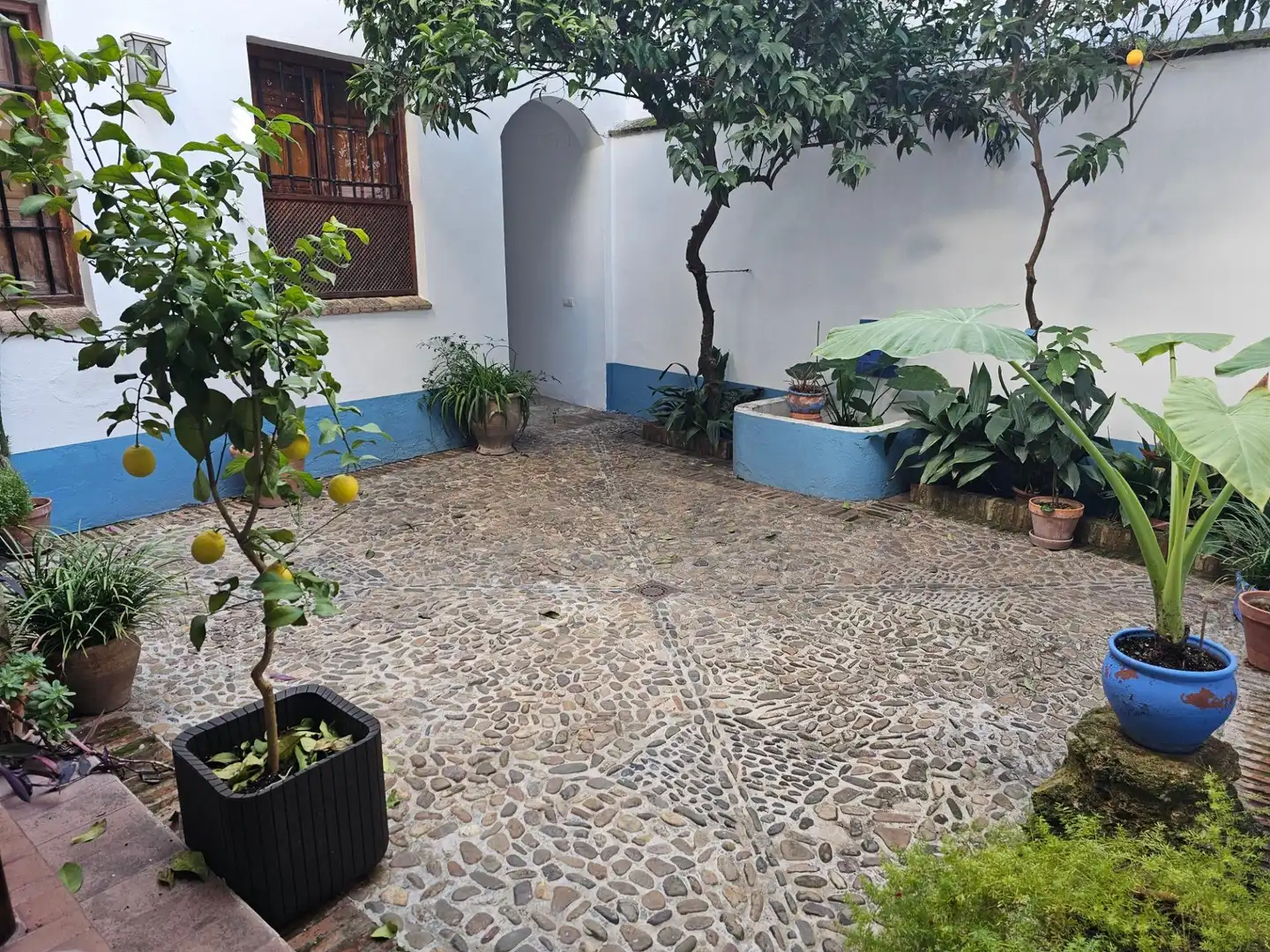 Garten von Maisonette zum Verkauf in Córdoba mit Klimaanlage und Heizung