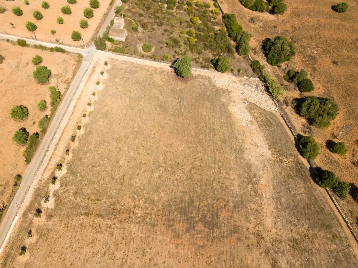 Rural land for sale in Son Vives, imagen 19