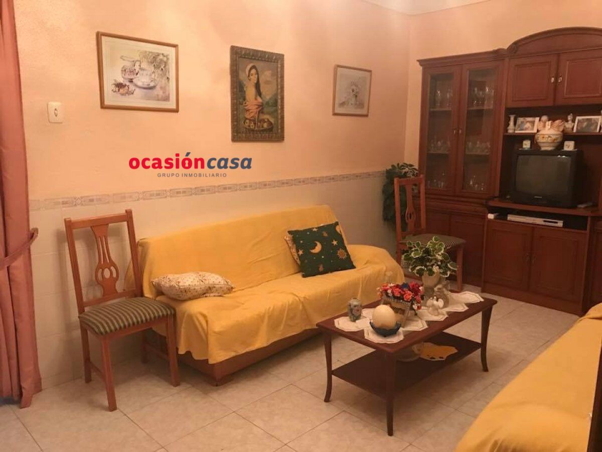 Sala d'estar de Casa o xalet en venda en Peñarroya-Pueblonuevo amb Jardí privat i Traster
