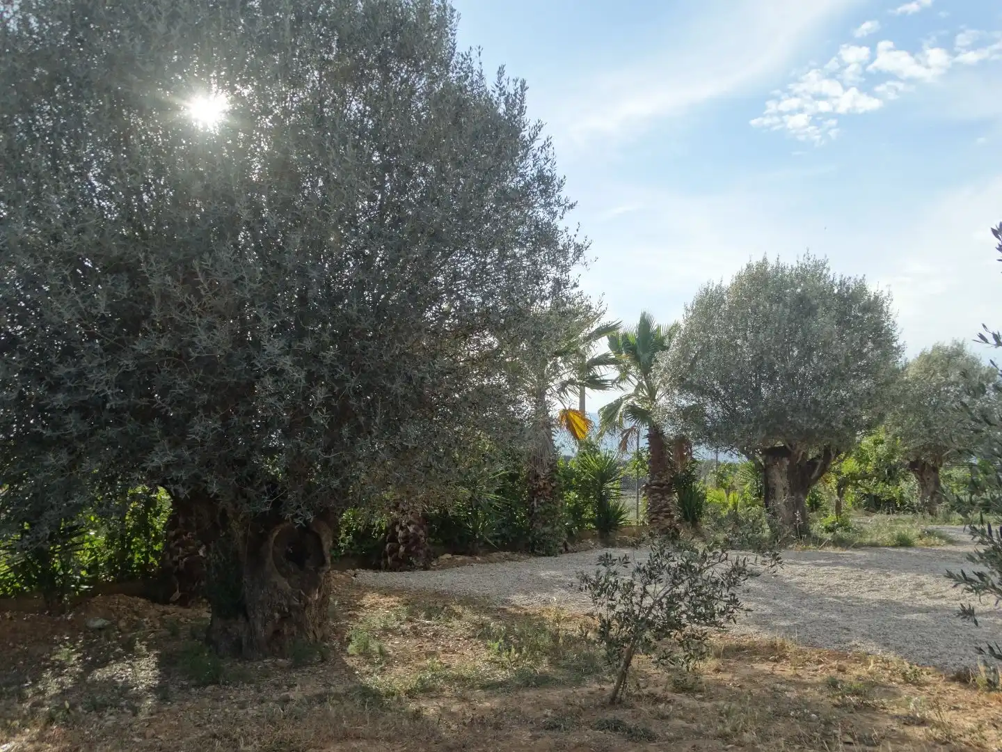 Villa con giardino in vendita a Carrer Nou 10, imagen 4