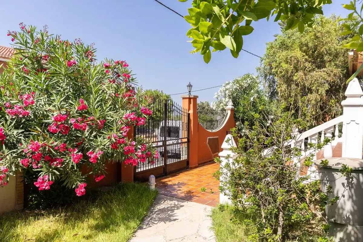 Maison avec terrasse à vendre à Carrer Vall d'Albaida, imagen 52