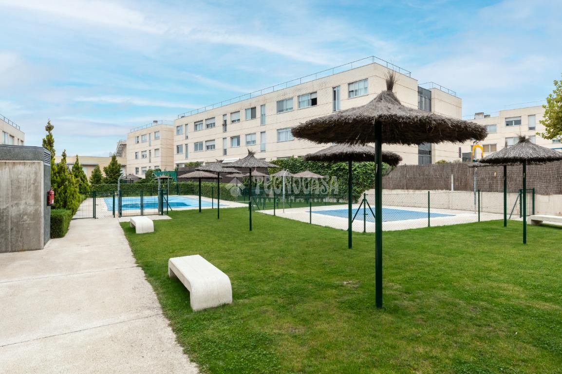 Vista exterior de Pis en venda en Las Rozas de Madrid amb Aire condicionat, Calefacció i Terrassa