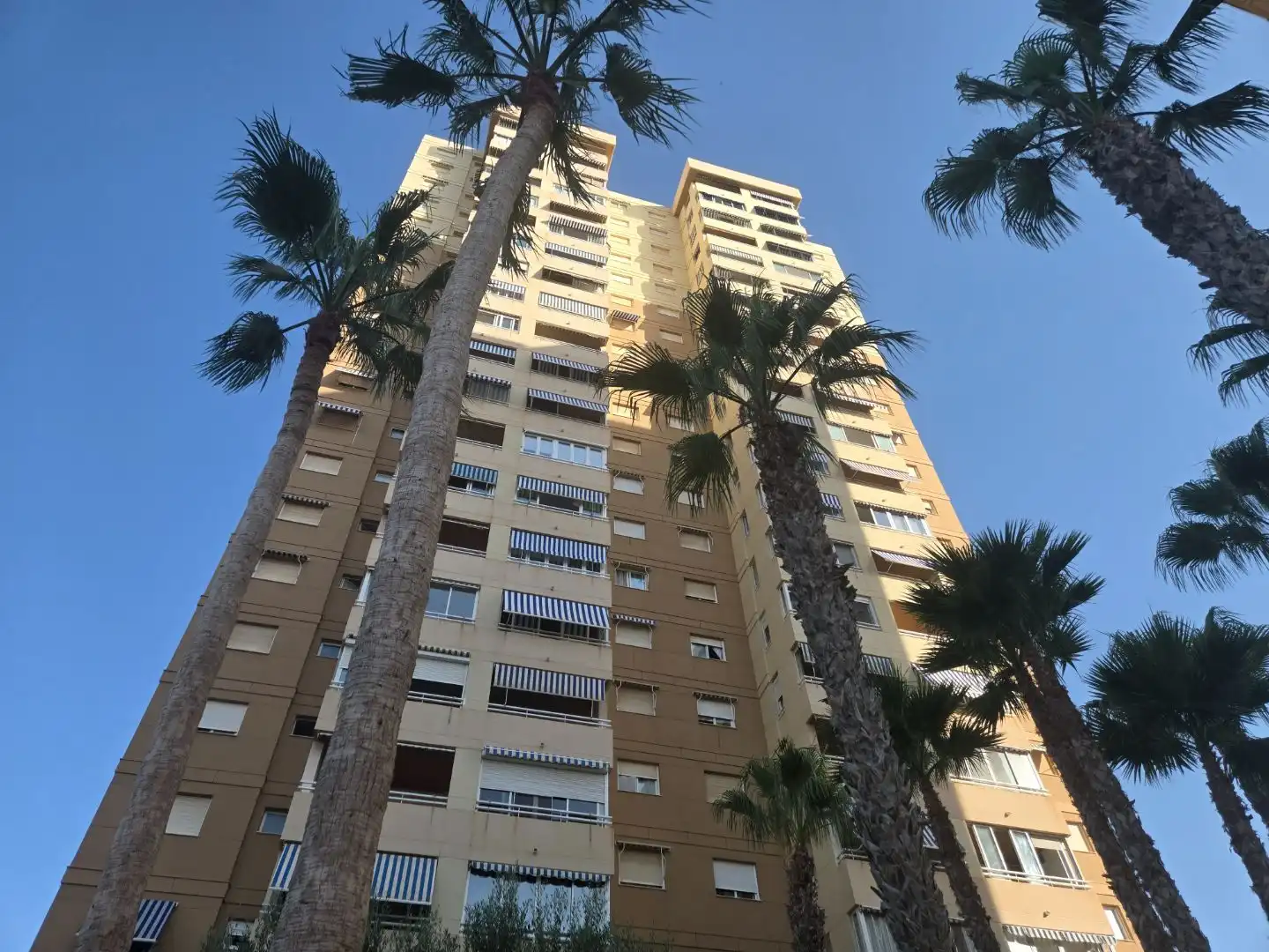 Exterior view of Flat for sale in Playa Muchavista