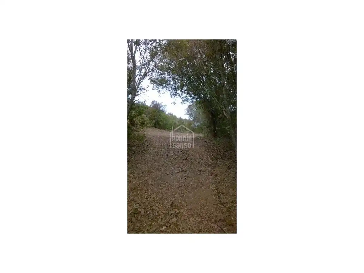 Maison rustique à vendre à Maó ciutat, imagen 34