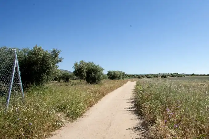 Terreni e lotti in vendita a Sc S6-S13 - Camino Fuente Cordel -, imagen 17
