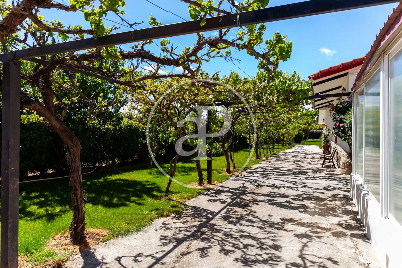 Jardí de Casa o xalet en venda en Fuente El Saz de Jarama amb Calefacció, Jardí privat i Terrassa