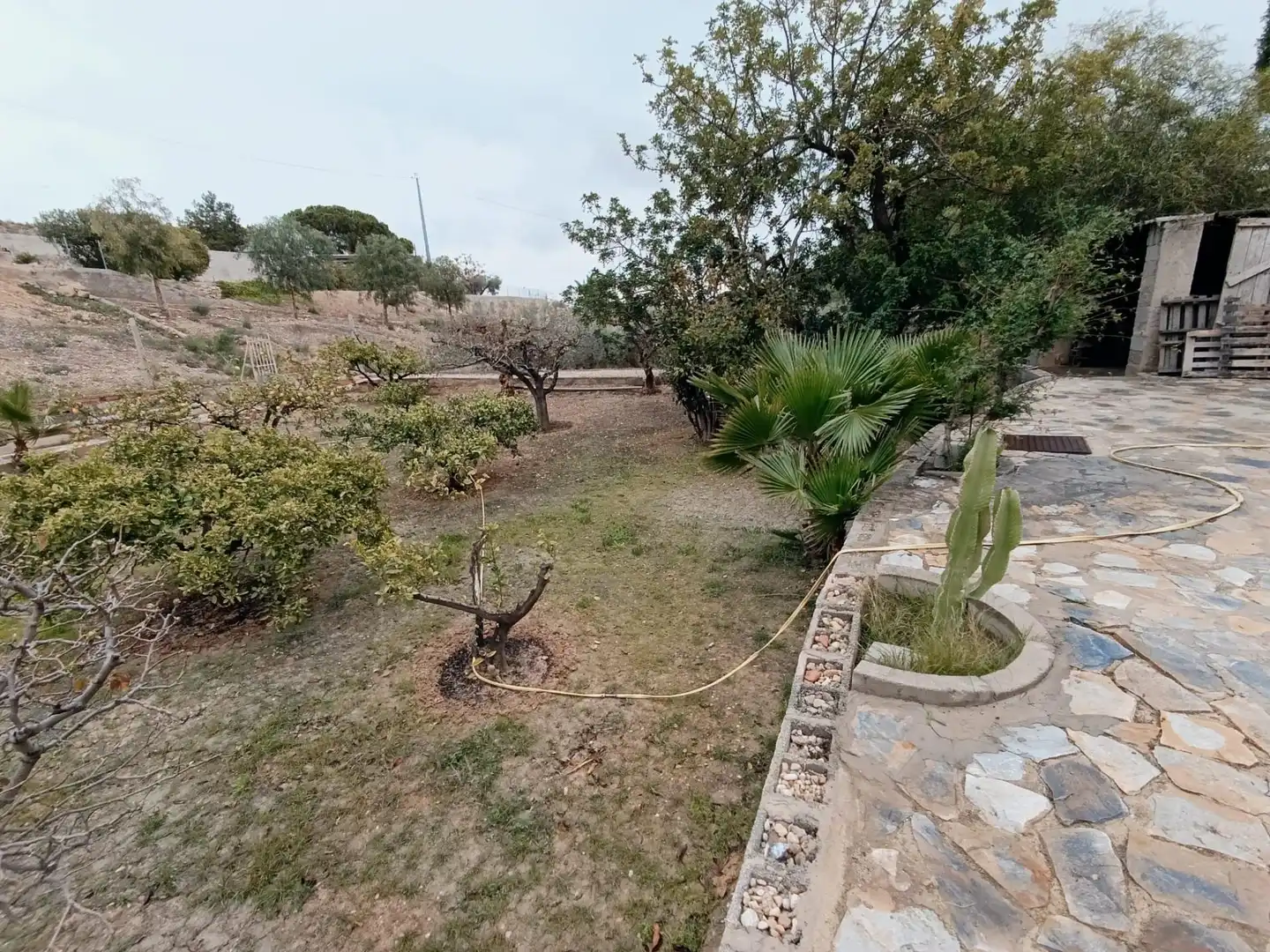 Jardí de Casa o xalet en venda en Elche / Elx amb Jardí privat, Terrassa i Traster