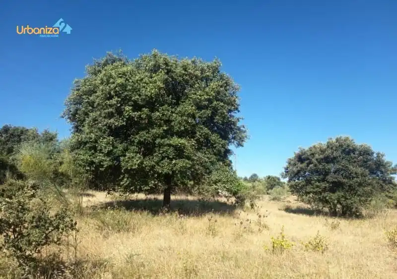Terreni e lotti in vendita a Camino Viejo de Talavera. km 5, imagen 3