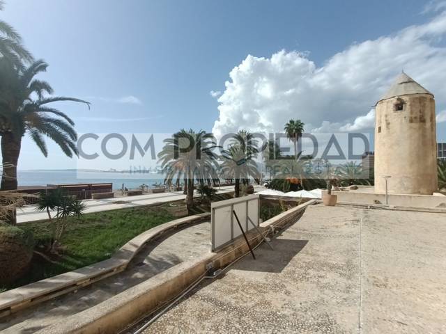 Local comercial en Venta en Es Portixol - Es Molinar