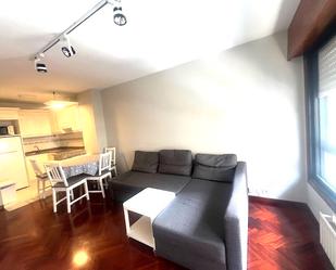 Sala d'estar de Pis de lloguer en A Coruña Capital  amb Aire condicionat, Calefacció i Parquet