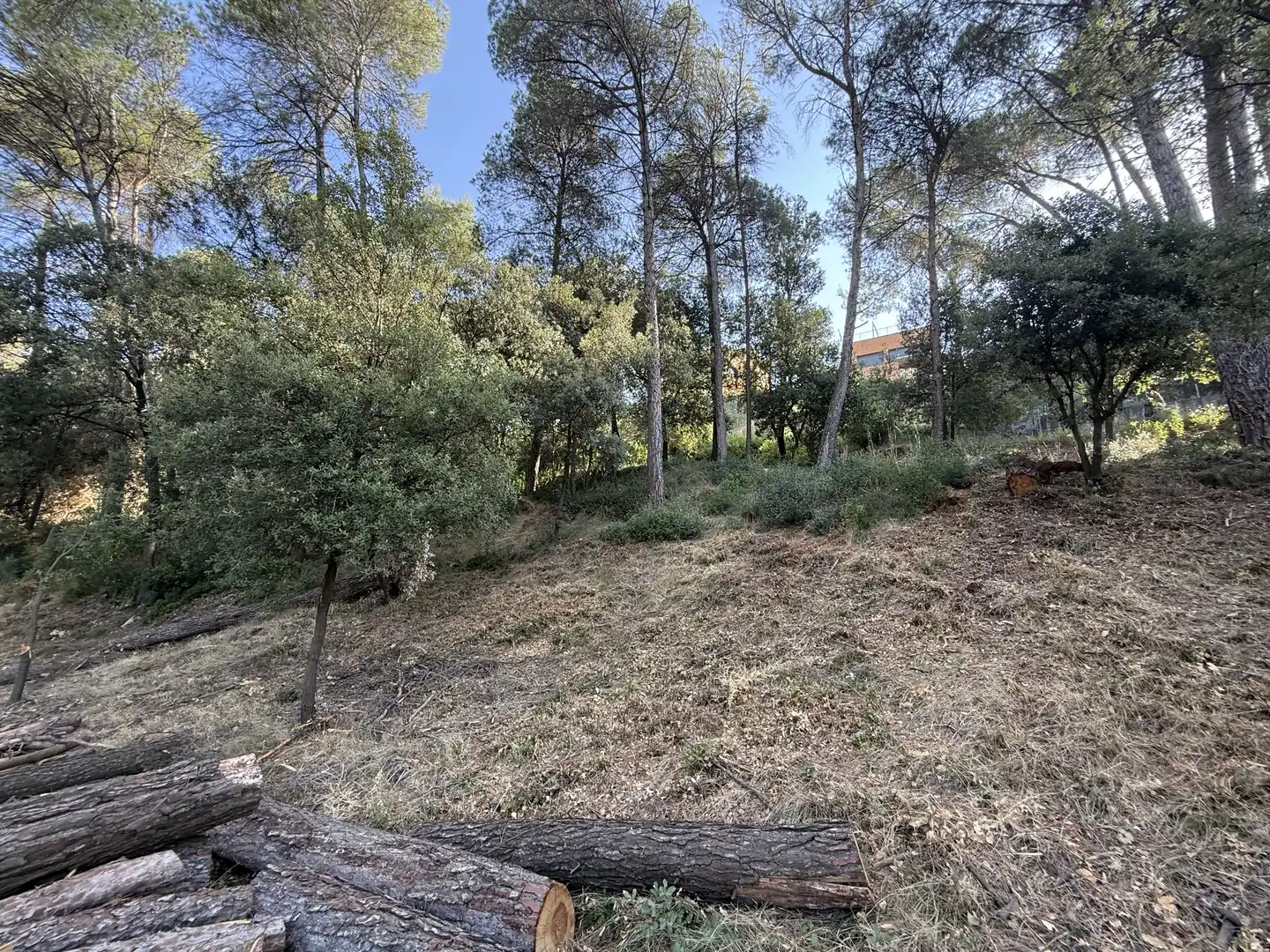 Terreno residencial en venta en d'Aiguafreda de Dalt 5, imagen 6