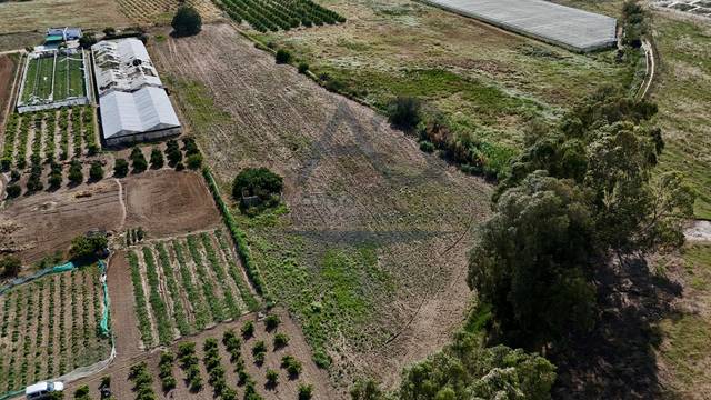 Terreno residencial en Venta en HACIENDA RIALORA en Los Palacios y Villafranca