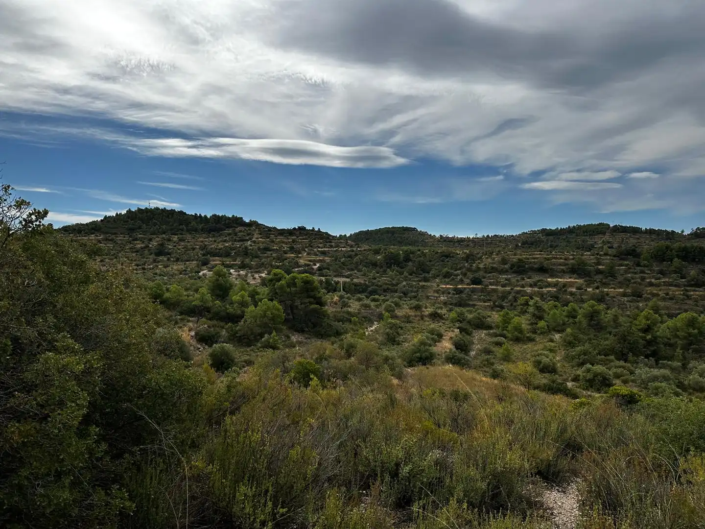 Terreny rústic en venda a Cervià de Les Garrigues, imagen 23