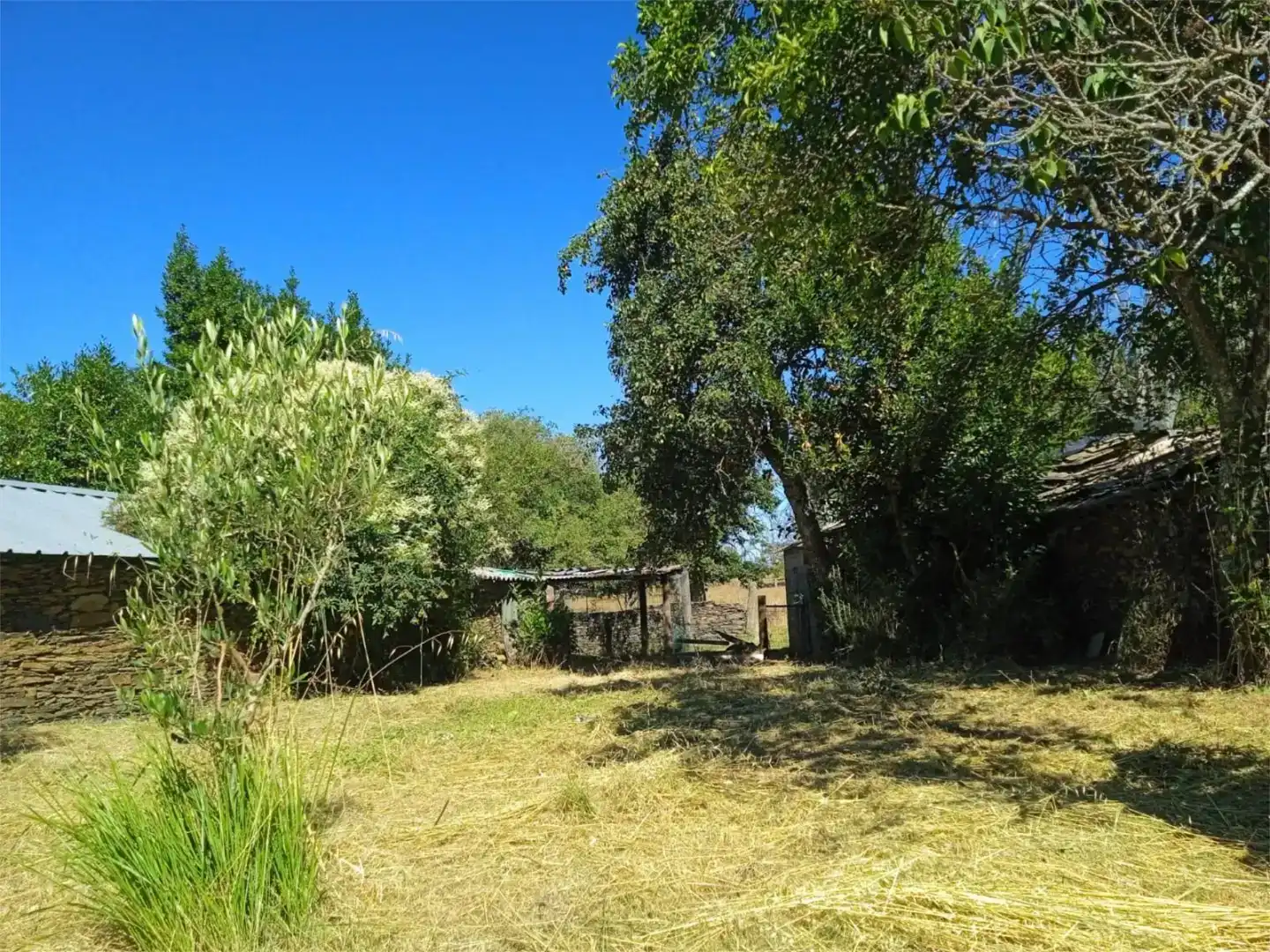 Finca rústica en venda en A Gudiña  amb Jardí privat, Traster i Balcó