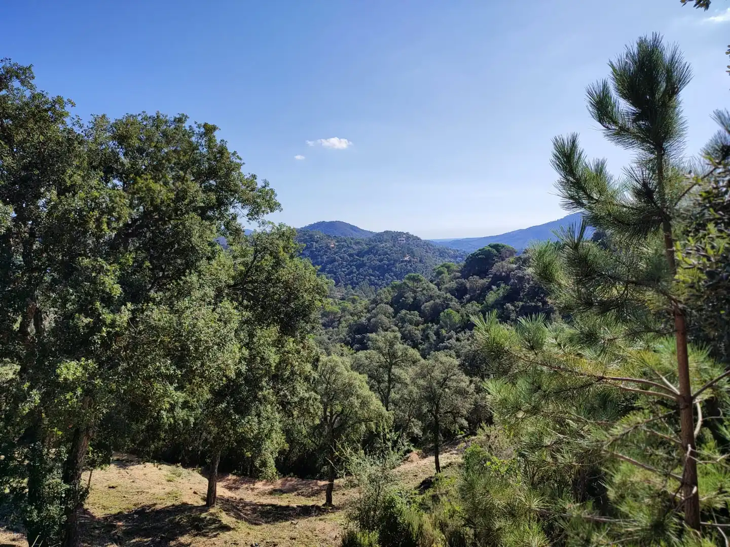 Terreno residencial en venta en Lloret Residencial - Montlloret, imagen 10