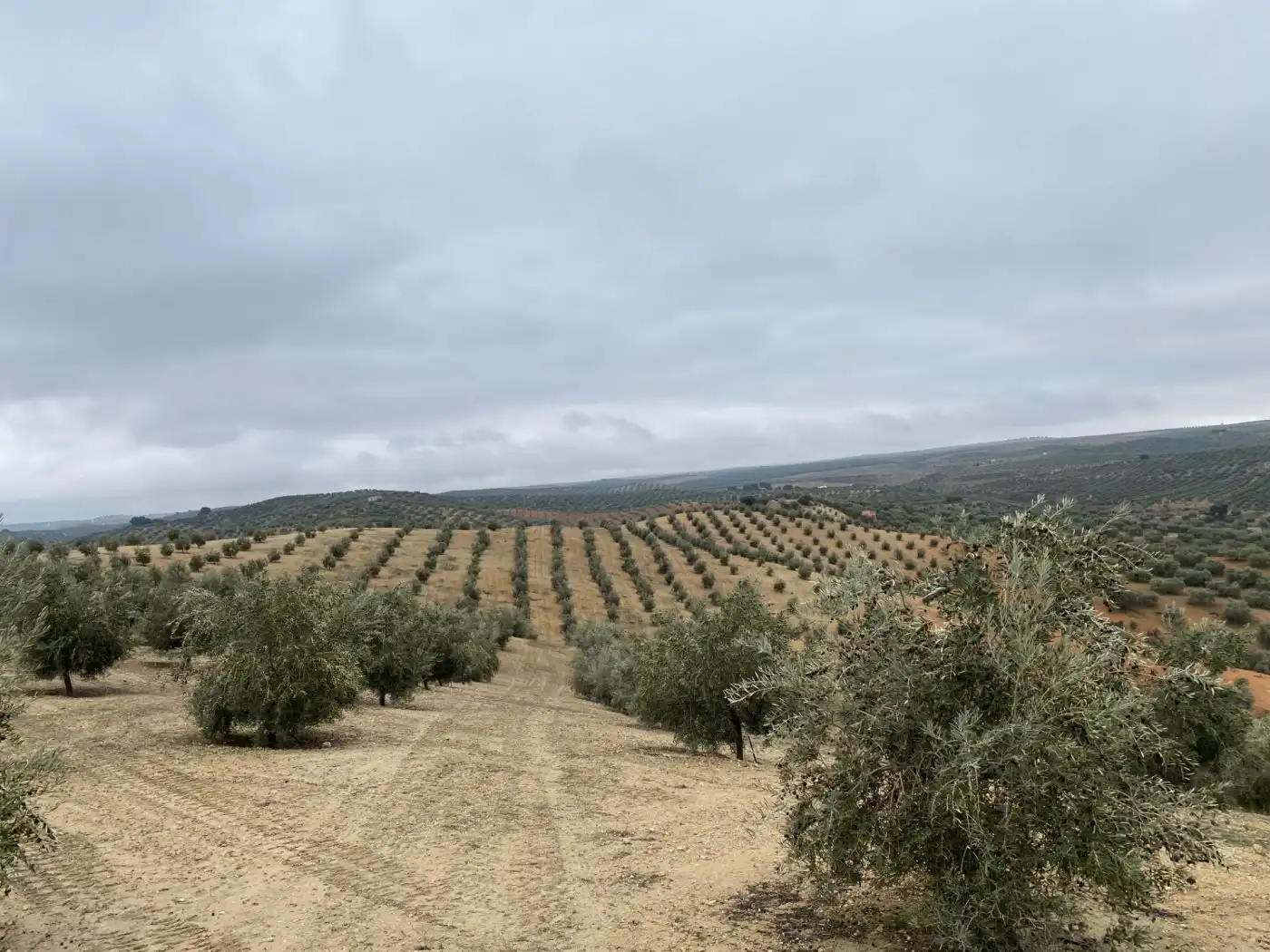 Casa rustica in vendita a Huétor Tájar, imagen 22