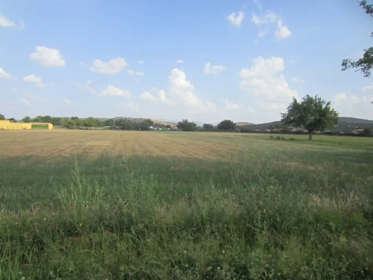 Terreno rustico in vendita a Calle RONDA DEL MEDIODIA, imagen 26