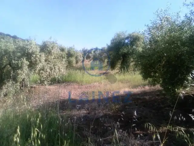 Residential land for sale in Espiel