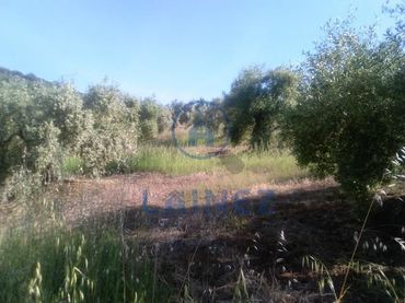 Terreno residenziale in vendita a Espiel