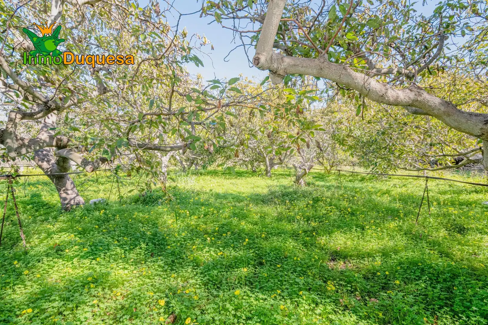 Detached house with pool for sale in Los Tablones - La Garnatilla, imagen 2
