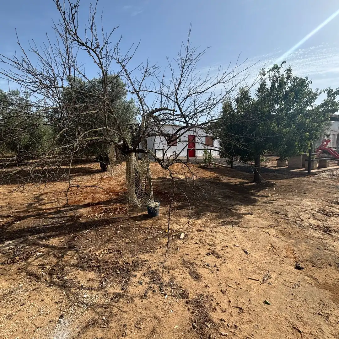 Finca rústica en venda en Almonte
