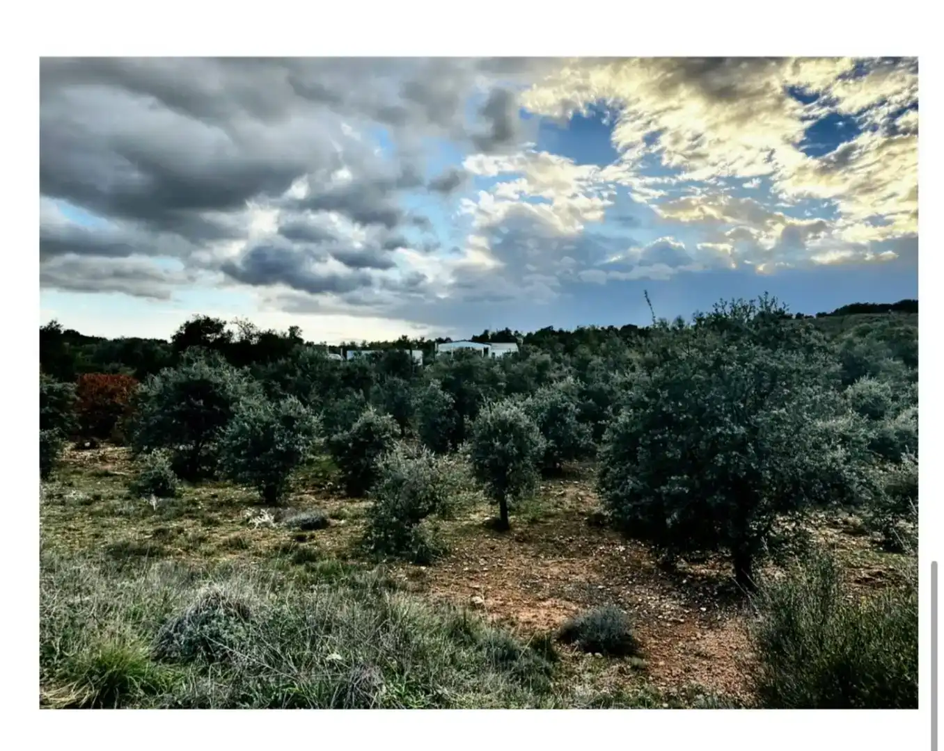 Terreno en venta en Valdaracete