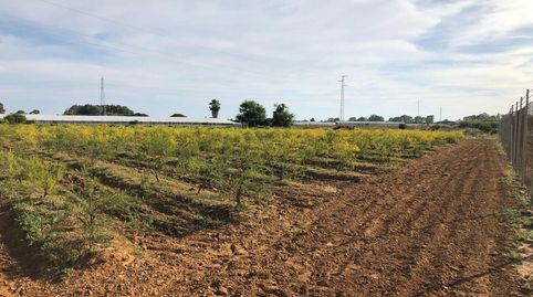 Foto 5 de Terreno en venta en Jerez, Chipiona Norte, Chipiona